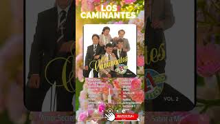 Los Caminantes 2024 Mix  Álbum Completo Románticas  20 Grandes Éxitos loscaminates romanticas [upl. by Rebmak]