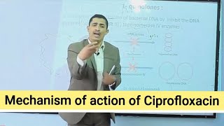 Mechanism of action of Quinolines آلية عمل فلوروكيونيلونز [upl. by Terina840]