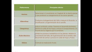 Tema 8 Las funciones de Relación y Reproducción en las Plantas Vídeo 1 La Relación [upl. by Akyssej85]