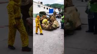 Tlacololeros de almolonga guerrero en Chilapa tradiciones 💐 [upl. by Notirb]