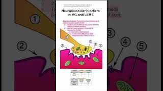 Neuromuscular blockers in MG and LEMS [upl. by Stanley]