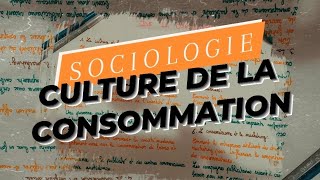 sociologie  Société de consommation [upl. by Gabrielle]