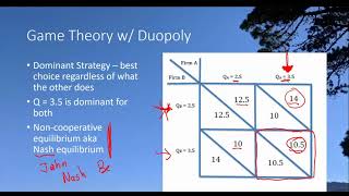 Game Theory with a Duopoly [upl. by Iolande]