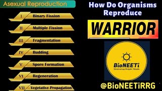 Asexual Reproduction  Biology CBSE NCERT NEETNTSE [upl. by Krilov571]