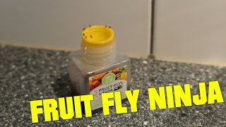 Fruitvliegjes vangen met Fruit Fly Ninja [upl. by Aicinod232]