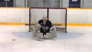 NHL Goalie Drills  12 Year Old Matteo Lalama amp Ryan Ludzik [upl. by Irik]