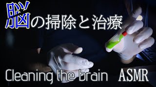 【 ASMR 】脳の掃除と治療。 日本語 ロールプレイ  Cleaning the brain Roleplay  Japanese ASMR [upl. by Ymer714]