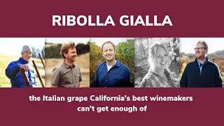 An Exploration of Ribolla Gialla  Wine Access [upl. by Leakim491]