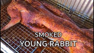 Smoked Rabbit with Big Swede BBQ [upl. by Tessy]