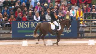 Moritz Treffinger GER Wins Freestyle Dressage to Music [upl. by Astrea783]