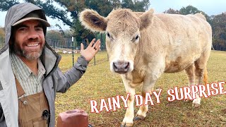 A Rainy Day Adventure on the Farm What Do The Animals Do When It Rains [upl. by Rehptosirhc]