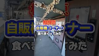 レトロ自販機で食べまくってみた『相模原自販機コーナー』shortsレトロ自販機自販機コーナー相模原 食べまくり神奈川 [upl. by Laaspere]