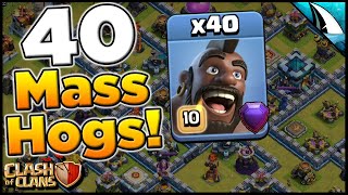 Mass Hogs Attack Strategy 40 Hog Rider Attack  Clash of Clans [upl. by Nnylear191]