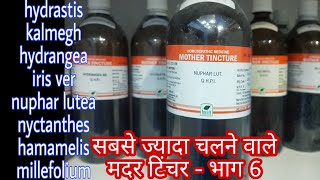 most useful mother tincture  6 hamamelis q nuphar lutea q kalmegh q hydrastis q nyctanthes q [upl. by Aranaj]