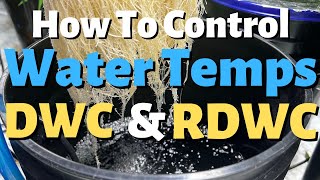 Best Methods to Control Water Temps in DWC  RDWC [upl. by Artemahs]