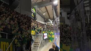 Björklöven ståplats IFBVIK [upl. by Olsson16]