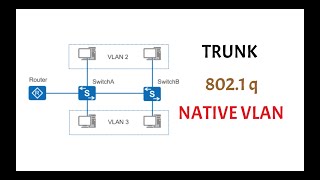 what is a trunk  dot1q  native vlan ccna 200301 [upl. by Neehsar493]