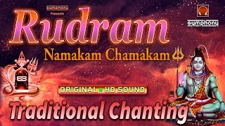 Rudram Chamakam  Original  Traditional Vedic Chants [upl. by Josepha331]