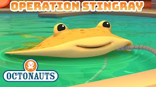 ​Octonauts  Operation Stingray 🛟⚡  Compilation  OctonautsandFriends [upl. by Onaivatco787]