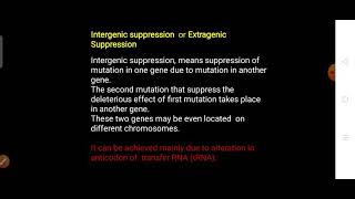 Intergenic or Extragenic Suppression  Genetic suppression part 2 [upl. by Anitsrihc931]