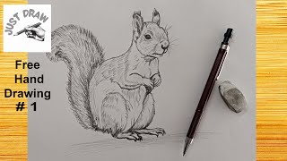 Free Hand Drawing 1 Squirrel Easy Drawing Tutorial Step By Step How to draw [upl. by Ahseiyt821]