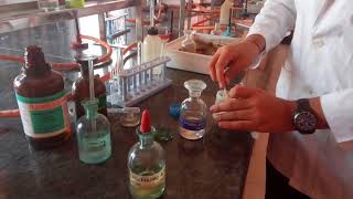 Test for Chloride ion in Lab by Seema Makhijani [upl. by Khoury862]