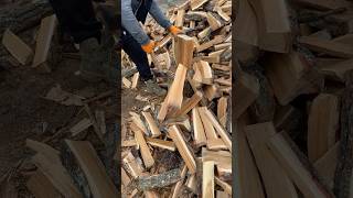 I chopping an oak log🪓🪵 woodworking [upl. by Eladnwahs900]