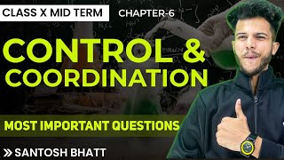 Class 10 Science Mid Term  Ch6 Control amp Coordination Most Important Questions CBSE 2024 Board [upl. by Papageno]