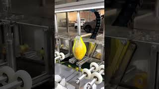 Melon and fruit peeling machine [upl. by Nal604]