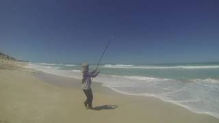 Mulloway fishing South Australia [upl. by Yedorb414]