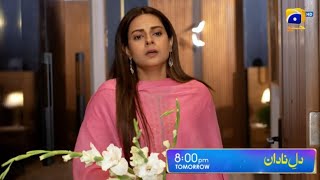 DileNadan Episode 23  Promo harpalgeo ammarkhan [upl. by Thurstan685]