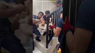 Dogs Head Stuck in Stairs shortsvideo [upl. by Pol]