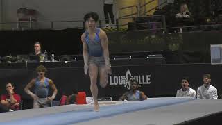 Xander Hong  Vault  2023 Elite Team Cup [upl. by Barthelemy]