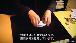 Master Poker Demonstration Derek Dingle デレック・ディングルのポーカー手順 [upl. by Mansoor]