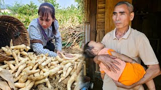 Building new life when daughter leaves  Digging tubers  Gardening  Food processing  Ly Phuc Binh [upl. by Mathias]