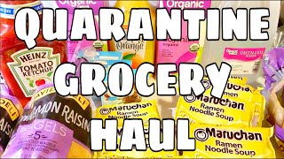 WALMART QUARANTINE STOCKPILE GROCERY HAUL [upl. by Nami]