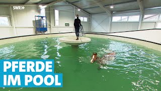 Ein SwimmingPool nur für Pferde in Bingen [upl. by Taddeo116]