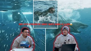 Man Gets Attacked By Great White Shark In Plexiglass😱 Ep22 [upl. by Pell]