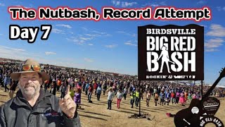 Big red bash Nutbush Fever Witness the RecordBreaking Finale [upl. by Jania]