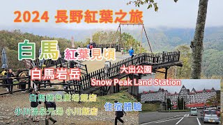 2024 長野紅葉之旅 白馬 紅葉見頃 白馬岩岳 大出公園 Snow Peak Land Station 白馬綠色廣場飯店 小川溫泉元湯 住宿體驗 [upl. by Madelina507]