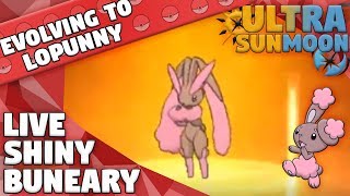 ACCIDENTAL SHINY BUNEARY at Beginning of Stream  Evolving to Lopunny  Pokemon Ultra Sun amp Moon [upl. by Brittni620]