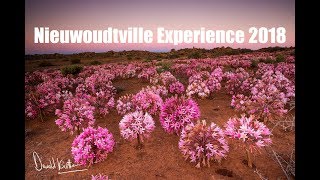 Landscape Photography  The Nieuwoudtville Experience Quiver trees and March Flowers [upl. by Ellezaj]