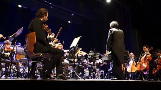 Beethoven 5ème symphonie 1er mouvement extrait [upl. by Nodroj]