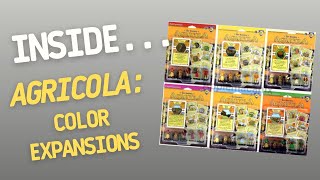 Color Expansions for AGRICOLA Board Game  Inside 13 [upl. by Innaig]