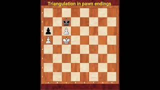 TRIANGULATION IN PAWN ENDINGS [upl. by Guyon]