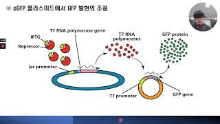 과학고 pGFP를 이용한 박테리아E coli 형질전환 실험을 통한 약물 남용 고찰 [upl. by Aneekat811]