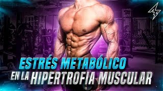 💪 El ESTRÉS METABÓLICO en la Hipertrofia Muscular  Qué es Cómo funciona y Qué importancia tiene [upl. by Brock]