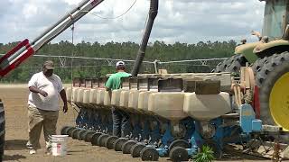 FILLING THE 12 ROW TWINROW MONOSEM PLANTER SCOTT FARMS 2019 PEANUT PLANTER FILLING [upl. by Eelegna]