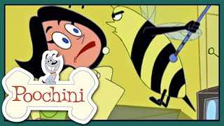 Poochini Capítulo 1618 [upl. by Aihsaei645]