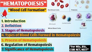 Hematopoiesis  Formation of blood  Erythropoiesis  Hematopoiesis MSc zoology Hindi notes [upl. by Edelson]